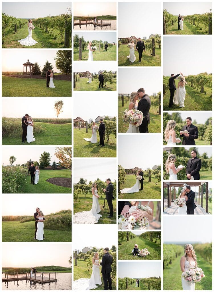a Collection of bride and groom portraits in vineyard at Illinois barn wedding venue